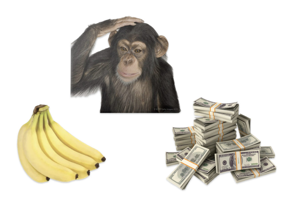 Monkey with bananas and money